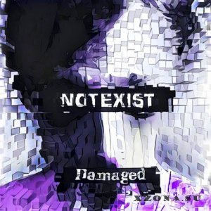 Notexist - Damaged (2016)